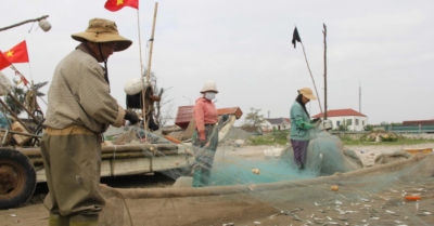 Ngư dân Nghệ An thu tiền triệu nhờ trúng đậm mùa cá trích