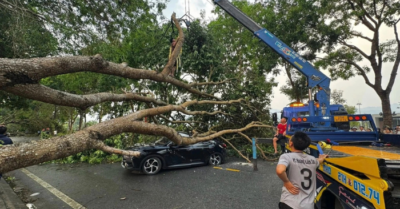 Dông lốc mưa đá gây thiệt hại lớn tại miền Bắc ngày 29/3