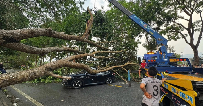 Dông lốc mưa đá gây thiệt hại lớn tại miền Bắc ngày 29/3