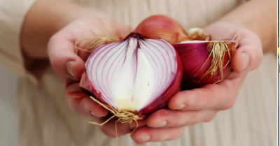 Cơ chế hỗ trợ giải độc gan bằng hành tây nhờ các hoạt chất lưu huỳnh và quercetin