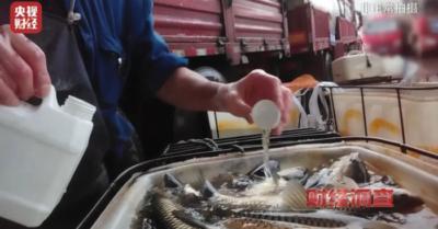 Trung Quốc kiểm tra việc sử dụng hóa chất gây mê cá trong quá trình vận chuyển thủy sản