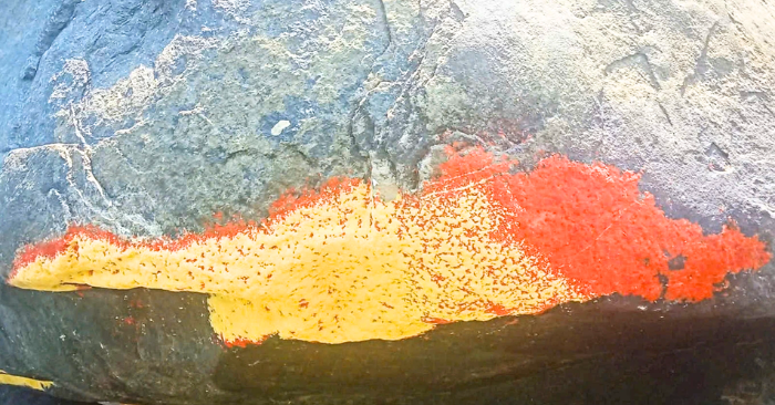 Đá nở hoa: Những túi trứng bướm đêm ẩn mình trong bóng tối