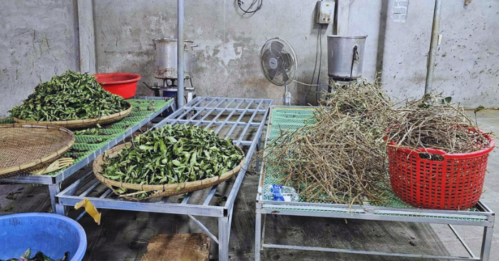 Thuốc giả Hoàng Minh Đường: Đường dây lừa đảo 230 tỷ đồng bị sập