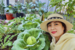 Vườn sân thượng Đà Nẵng: Quy trình ủ đất và canh tác 60m2 rau trái