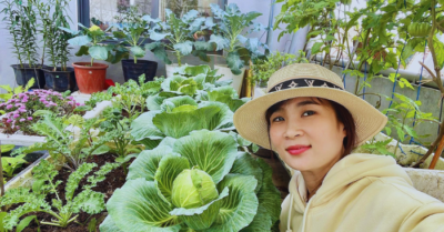 Vườn sân thượng Đà Nẵng: Quy trình ủ đất và canh tác 60m2 rau trái