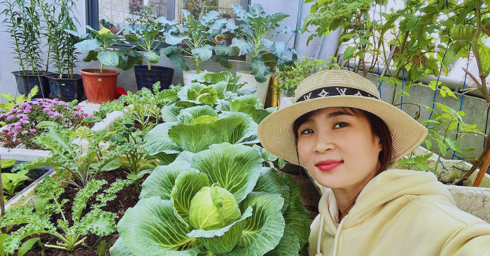 Vườn sân thượng Đà Nẵng: Quy trình ủ đất và canh tác 60m2 rau trái