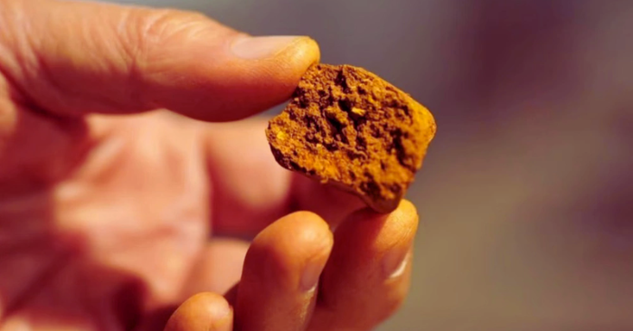 An cung ngưu hoàng hoàn: Sự thật về bài thuốc cải tử hoàn sinh