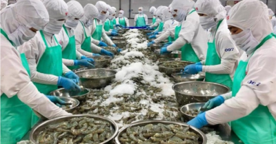 Căng thẳng Trung Đông: Ngành thủy sản Việt Nam trước thử thách rủi ro chuỗi cung ứng