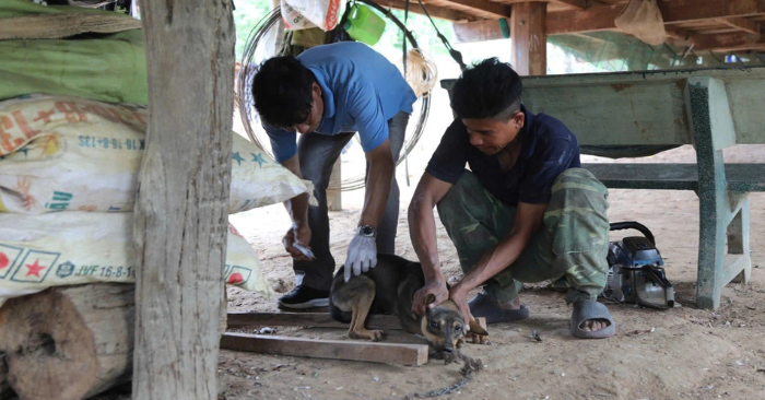 Sở Y tế chỉ đạo khẩn sau vụ 6 người bị nghi chó dại cắn