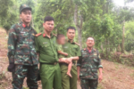 Cháu bé 3 tuổi mất tích trong rừng Thái Nguyên đã được tìm thấy
