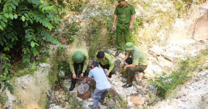 Rắn hổ mang chúa dài hơn hai mét bò vào nhà dân Nghệ An