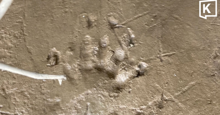 Dấu vết sinh vật lạ dài 4 mét gây lo ngại tại Thái Lan