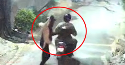 “Cẩu tặc” dùng súng điện tự chế đại náo phố núi Đà Lạt