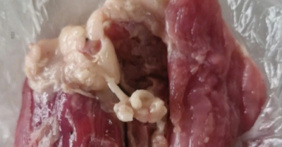 Phụ huynh Thái Nguyên phát hiện thịt bất thường trong bữa ăn bán trú, kết quả xét nghiệm gây lo ngại