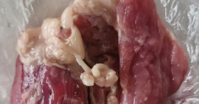 Thái Nguyên phát hiện