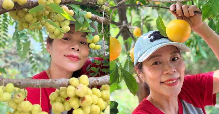 vườn cây trái của Mỹ Lệ