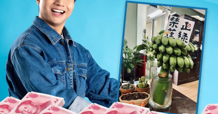 mô hình kinh doanh chữa lành