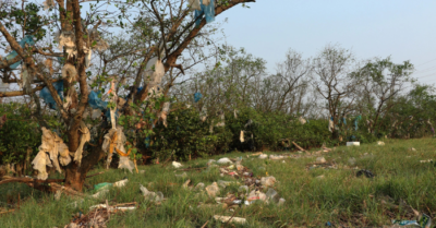 Rừng bần ven sông Lam (Nghệ An) bị “bức tử” bởi rác thải nhựa