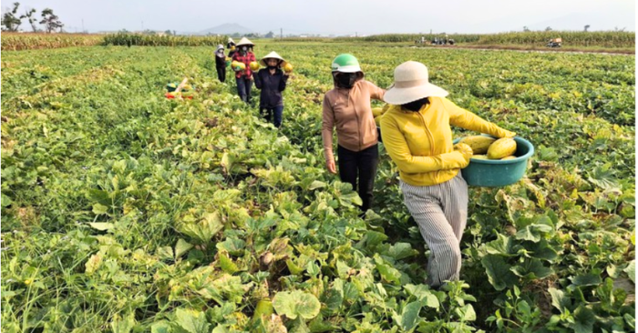 Tình làng nghĩa xóm: Giá trị xưa giữa đời sống hiện đại