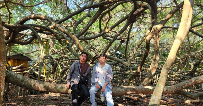 Giàn Gừa trăm tuổi ở Cần Thơ hút khách tham quan