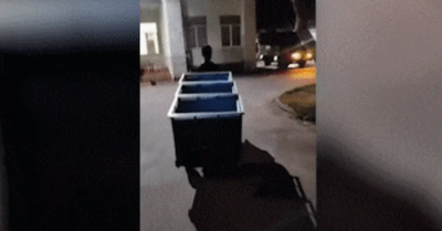 Trải nghiệm thực tế: Nam sinh lớp 6 bỏ học nhận bài học tại cảng cá Đồng Tháp