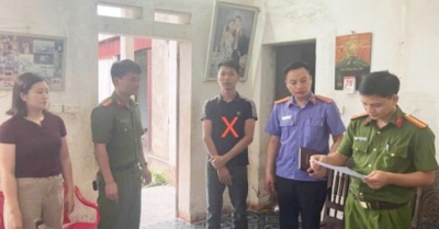 Sản xuất mỹ phẩm giả trong trang trại chăn nuôi tại Ninh Bình
