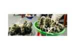Sản xuất giò sử dụng hàn the: Thanh Hóa xử phạt nặng cơ sở vi phạm an toàn thực phẩm