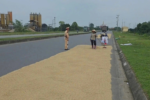Vụ tai nạn ở Hà Tĩnh: Trách nhiệm pháp lý của việc phơi thóc