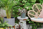 Trồng cây ban công và những sai lầm phổ biến cần được lưu ý