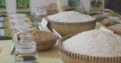 Việt Nam đẩy mạnh nhập khẩu nông sản nguyên liệu để củng cố vị thế trung tâm chế biến toàn cầu
