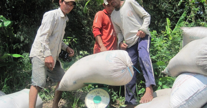 nhập khẩu gạo của Việt Nam