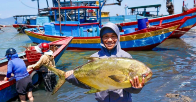 Ngư dân Hà Tĩnh trúng đậm mẻ cá chim vàng hơn một tấn