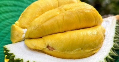Bí quyết ăn sầu riêng không lo tăng cân và tăng đường huyết