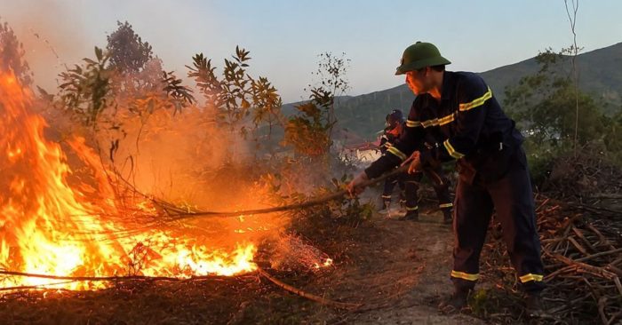 Thanh Hóa khống chế hoàn toàn vụ cháy rừng tại phường Hải Bình, lực lượng chức năng tích cực dập lửa, ngăn cháy lan hiệu quả.