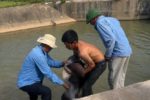 Nam thiếu niên tử vong do trượt chân xuống kênh Nông Giang tại Nghệ An