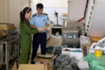 Nem chua rán Hà Nội giả: Một giám đốc ở Thanh Hóa bị khởi tố