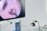 Nghệ An: Phát hiện ve chó nằm sâu trong tai người phụ nữ suốt một tuần