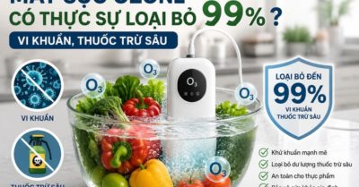 Máy sục ozone và thực hư khả năng loại bỏ vi khuẩn trên thực phẩm