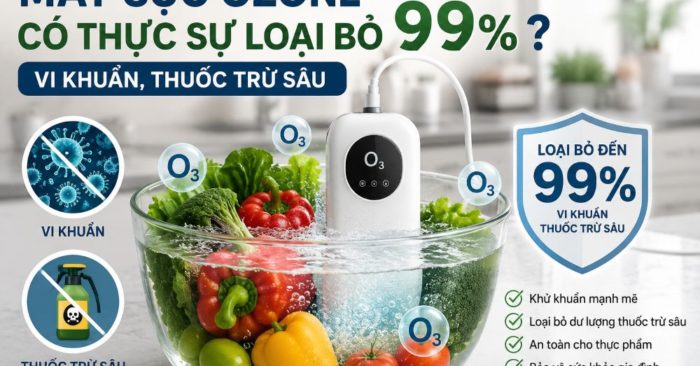 Máy sục ozone và thực hư khả năng loại bỏ vi khuẩn trên thực phẩm