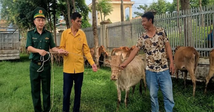 Hỗ trợ vật nuôi cho hàng chục hộ dân biên giới Nghệ An