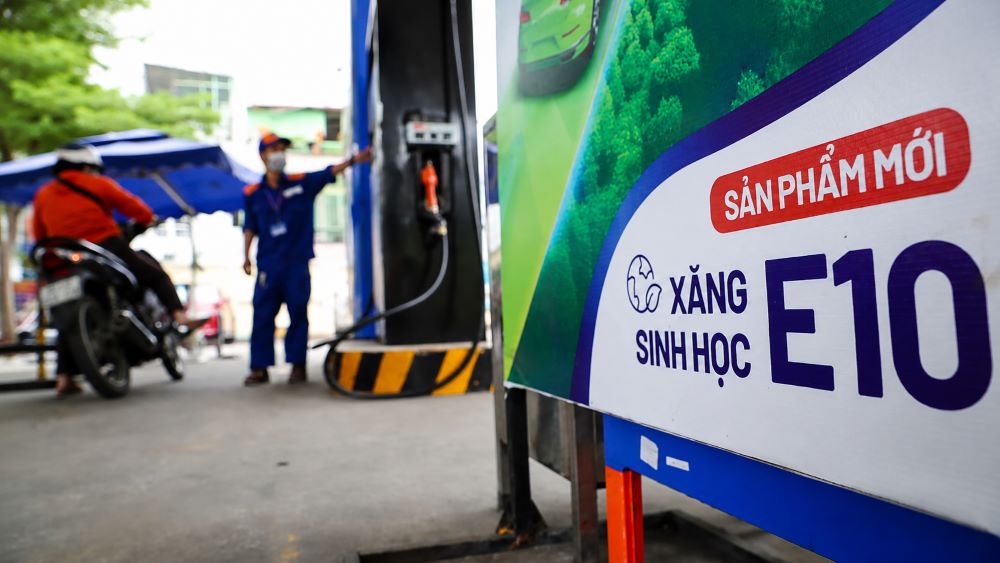 800 triệu lít xăng E10 được tiêu thụ chưa đầy một tháng, cho thấy sức mua tăng mạnh và xu hướng chuyển đổi nhiên liệu sinh học.