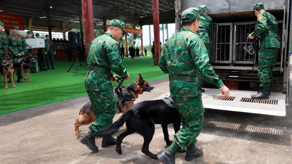 Việt Nam cử 8 chó nghiệp vụ cùng lực lượng Biên phòng sang Venezuela hỗ trợ tìm kiếm cứu nạn sau trận động đất nghiêm trọng.