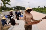 Thanh Hóa: Ngư dân trúng mùa moi biển, Vỉa hè ngập màu hồng