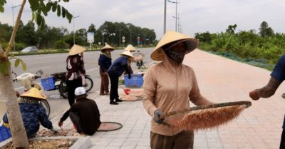 Thanh Hóa: Ngư dân trúng mùa moi biển, Vỉa hè ngập màu hồng