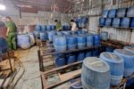 Hưng Yên: Khởi tố bị can sản xuất gần 800 kg giá đỗ chứa chất cấm