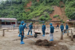 Dịch lở mồm long móng xuất hiện trở lại tại Thái Nguyên
