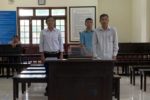 Hai cựu cán bộ thú y nhận hối lộ để hợp thức hóa gần 10.000 con heo bệnh