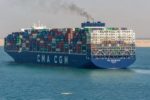 Cá tra Việt Nam tăng mạnh vào Saudi Arabia và Colombia trong 5 tháng đầu năm
