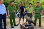 Nuôi đại bàng và diều hâu không giấy tờ, nam thanh niên bị phạt tiền