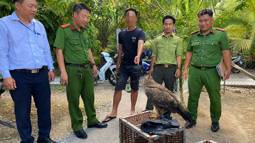 Nam thanh niên bị phạt 75 triệu đồng vì nuôi trái phép 6 cá thể đại bàng, diều hâu thuộc danh mục động vật hoang dã quý hiếm.